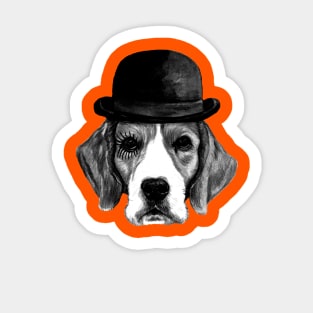 A Clockwork Orange Beagle Dog Sticker